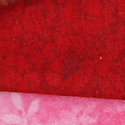100% crop from Canon 5D Mark IV test image taken at ISO 100