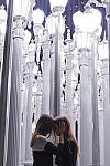 Click to see Y-Sigma24-70A-5D3-1G5C3015_EDIT.JPG
