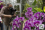 Click to see Y04308VENER.JPG