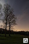 Click to see Y2F2A9350.JPG