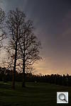 Click to see Y2F2A9351.JPG