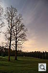 Click to see Y2F2A9352.JPG