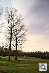 Click to see Y2F2A9354.JPG