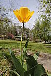 Click to see Y_11-24MM-112.JPG