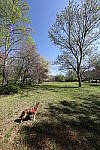 Click to see Y_11-24MM-305.JPG