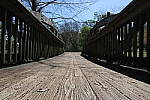 Click to see Y_11-24MM-307.JPG