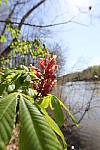 Click to see Y_11-24MM-344.JPG