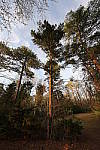 Click to see Y_11-24MM-347.JPG