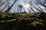 Click to see Y_11-24MM-498.JPG