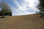 Click to see Y_11-24MM-507.JPG