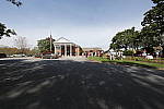 Click to see Y_11-24MM-509.JPG