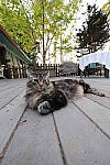 Click to see Y_11-24MM-612.JPG