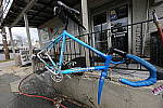 Click to see Y_11-24MM-G-590.JPG
