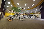 Click to see Y_11-24MM-G-667.JPG