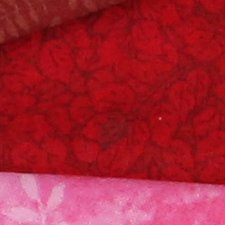 100% crop from Canon 5D Mark III test image taken at ISO 1600