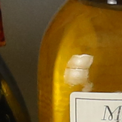 100% crop from Canon 5D Mark III test image taken at ISO 1600