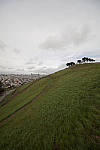 Click to see Y-1C4A8869-Laowa12mm.JPG