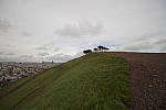Click to see Y-1C4A8871-Laowa12mm-ACR_D.JPG
