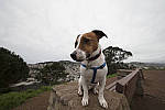 Click to see Y-1C4A8910-Laowa12mm-ACR_D.JPG