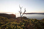 Click to see Y-1C4A8970-Laowa12mm-ACR_D.JPG