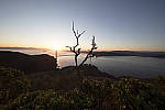 Click to see Y-1C4A8971-Laowa12mm-ACR_D.JPG