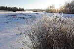 Click to see Y-5DSR-8740-SUN.JPG