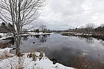 Click to see Y-5DSR-8797-SHARPNESS-14MM-F2.8.JPG