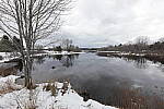 Click to see Y-5DSR-8799-SHARPNESS-14MM-F5.6.JPG
