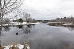 Click to see Y-5DSR-8813-SHARPNESS-24MM-F5.6.JPG