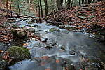 Click to see Y-JG-TAMRON-15-30-9412.JPG