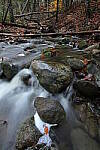 Click to see Y-JG-TAMRON-15-30-9417.JPG