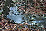Click to see Y-JG-TAMRON-15-30-9421.JPG