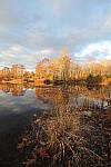 Click to see Y-JG-TAMRON-15-30-9472.JPG