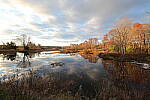 Click to see Y-JG-TAMRON-15-30-9475.JPG
