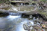 Click to see Y-JG-TAMRON-15-30-9488.JPG