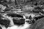 Click to see Y-JG-TAMRON-15-30-9499-MOD.JPG
