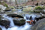 Click to see Y-JG-TAMRON-15-30-9499.JPG