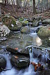 Click to see Y-JG-TAMRON-15-30-9503.JPG