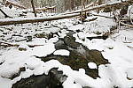 Click to see Y-JG-TAMRON-15-30-9579.JPG