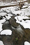 Click to see Y-JG-TAMRON-15-30-9582.JPG