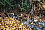 Click to see Y-JG-TAMRON-17-35-9065.JPG