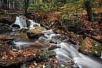 Click to see Y-JG-TAMRON-17-35-9075.JPG