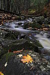 Click to see Y-JG-TAMRON-17-35-9085.JPG