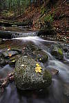 Click to see Y-JG-TAMRON-17-35-9095.JPG