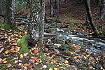 Click to see Y-JG-TAMRON-17-35-9101.JPG