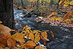 Click to see Y-JG-TAMRON-17-35-9106.JPG