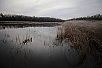 Click to see Y-JG-TAMRON-17-35-9283.JPG