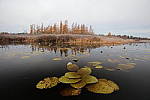Click to see Y-JG-TAMRON-17-35-9304.JPG