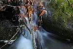 Click to see Y-JG-TAMRON-17-35-9521.JPG