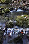Click to see Y-JG-TAMRON-17-35-9561.JPG